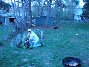 the gardener